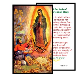 Words of Our Lady of Guadalupe Prayer Card Blessed By His Holiness
