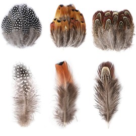 Natural Feather Set of 150 3 Types Natural Feather Feather Shower Feather Shower Wedding Decoration Dream Catcher Material Handmade Craft Hat Decoration