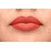 L.A. COLORS Velvet Plush Creamy Lip Color, Velour CLC666