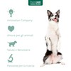 Innovet, Condrostress Mobility for Dog Joints, Supports Adult and Older