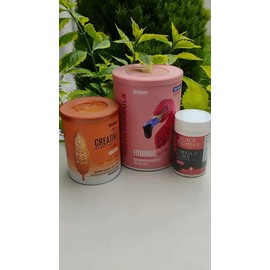 Birdman Fitmingo 510g  Creatina Refresher  Omega 3 1300mg
