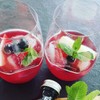 Govino 12 Ounce Dishwasher Safe Series Wine/Cocktail Glasses (Set of