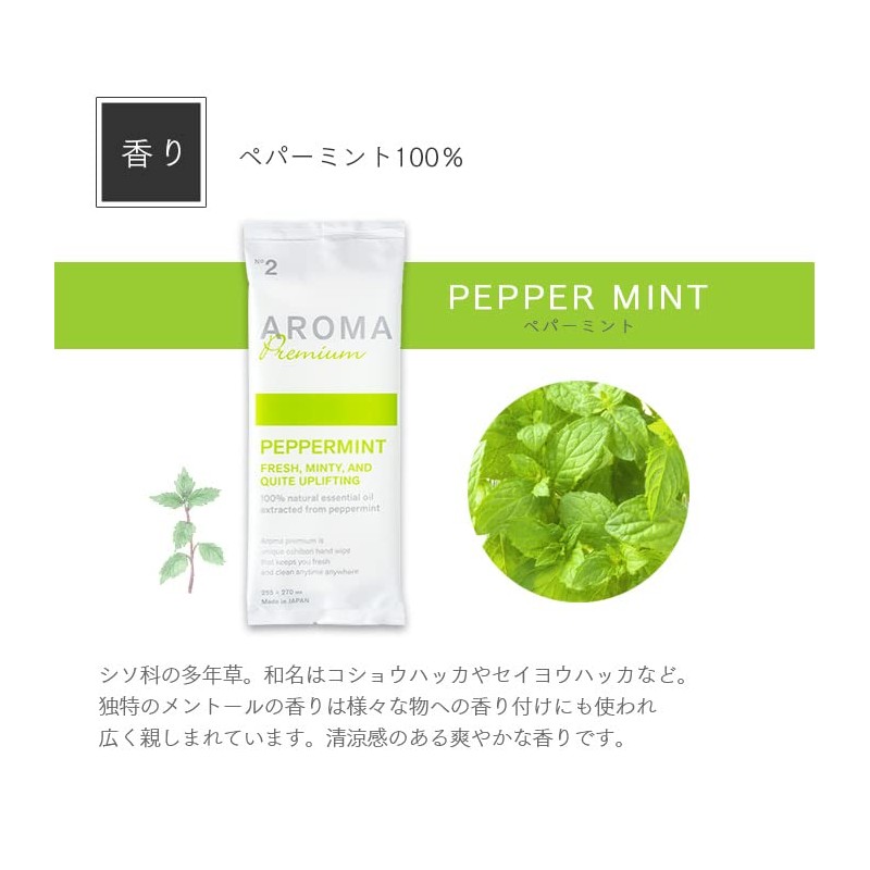FSX Antiviral Antibacterial Paper Towels, Aroma Premium Peppermint 1 Pack,