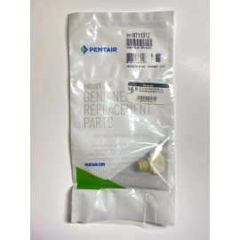 PENTAIR 071131Z Drain Plug .5" White Knob Cap Whisperflo Superflo NEW GRP 1-pack