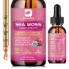 Sea Moss Liquid Drops – 6X Strong Organic Formula with Black Seed Oil, Irish Sea Moss, Burdock Root, Elderberry, Vitamin C & D3