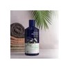 Shampoo Anticaspa 414ml Avalon Organics
