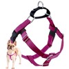 2 Hounds Design Freedom No Pull Dog Harness | Comfortable
