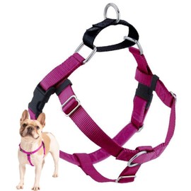 2 Hounds Design Freedom No Pull Dog Harness | Comfortable Control for Easy Walking | Adjustable Dog Harness | Small, Medium & Large Dogs | Made in USA | Solid Colors | 1" MD Raspberry