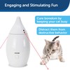 PetSafe Zoom - Double Laser Pointer Cat Toy / Dog