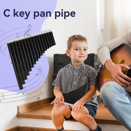 Pan Flute with Cardboard Carrying Bag, C Key Pan Pipes Easy Learn Woodwind Instruments Panpipe Music Woodwind Traditional Musical Instruments for Adults Beginners Training (Black)