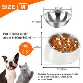 Petvillage Tilted Dog Bowl Non-Slip & Non-Spill Pet Feeder with Elevated Detachable Melamine Stand, Easy to Get Food Dog Dish, M/180ml White