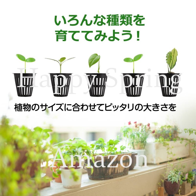 Happy Spring Hydroponic Cultivation Pot, Seedling Pot, 6 Colors, 3