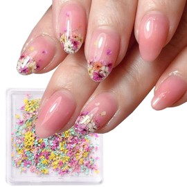 Dried Flowers for Nails Tip-1Box 3D Dried Flower Nail Stickers Charms Natural Flower Mix Dry Colorful Decals for Nails Art Resin Spring Small Floral Nail Design DIY Craft Manicure Accessories Supplies