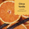 Honest Shampoo & Body Wash, Perfectly Gentle Sweet Orange Vanilla,