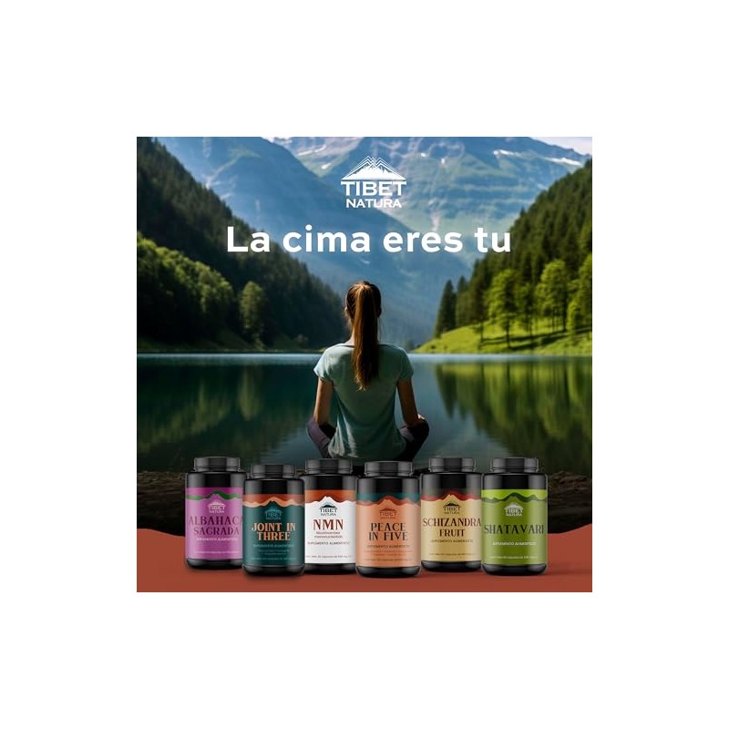 NMN 500 mg - Nicotinamida Mononucleótido- Suplemento Alimenticio - 30