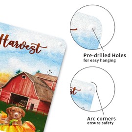 Happy Thanksgiving Aluminum Sign Siberian Husky Metal Sign Fall Pumpkin Farm Dog Happy Harvest Rustic Vintage Porch Signs for Laundry Room Living Room 10x10in Fall Gift Housewarming Gift