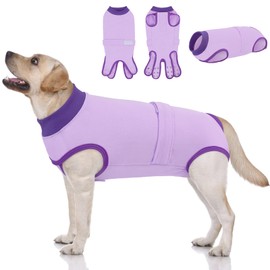 Queenmore Recovery Suit for Dogs, Dog Surgical Recovery Suit Onesie,Anti Licking Pet Female Spayed Neutered Puppy Surgical Clothes for Abdominal Wounds, Substitute E-Collar & Cone, Purple,L