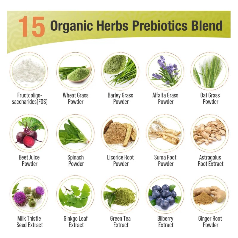 Ascuoli Probióticos 300b Ufc 22 Cepas 15 Hierbas Orgánicas