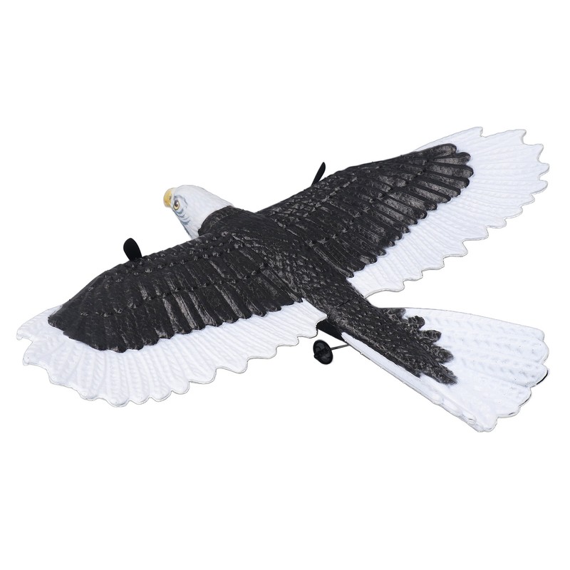 Bird Plane Toy 2 Channels Broken Resistant Remote Control Bird