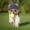 Breathable Dog Baseball Cap, Adjustable Baseball Cap for Pets, Dog