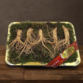 Punggi Ginseng 750g of 5-year-old fresh ginseng (4-5 root basket) / 풍기인삼 5년근 수삼 1채 750g (4-5뿌리등바구니)