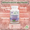 Ayushya Punarnava Capsule (Boerhavia Diffusa), 60 Capsules, Natural