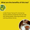 Premium GT Herbs & Fruits - Linden Tea 20 Tea