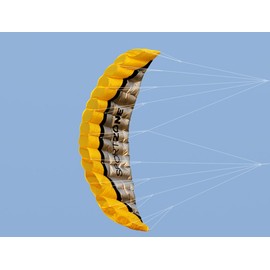 Kwasyo 2.5m Deux Ligne Parapente Cerf-Volant avec Manette 30m,Cerf-Volant pour Le Sport en Plage,Jeux de Plein air dans Le Jardin