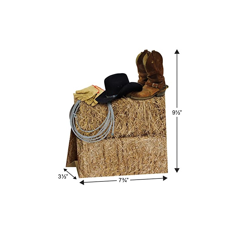 Beistle 57350 3D Western Centerpiece, 11-Inch