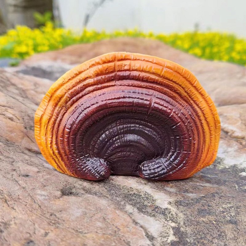 Mini Reishi Mushroom Wall Shelves, Premium Simulation Mushroom Shelf Decoration