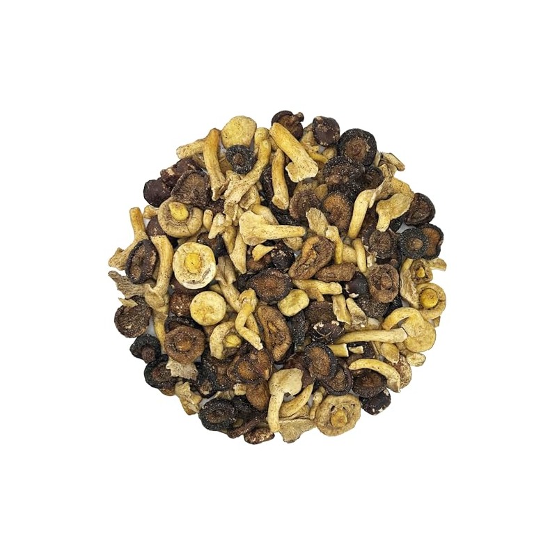 3 Type Mix Mushroom Chips, Shiitake, Button & Oyster Mushroom