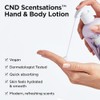 Creative Scentsations Citrus & Green Tea Lotion 8.3 oz. by