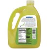 Langers Blue Zones Inspired Unsweetened Tea, Green & Jasmine Tea,