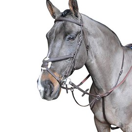 John Whitaker Ready to Ride Martingale Full Size Havana