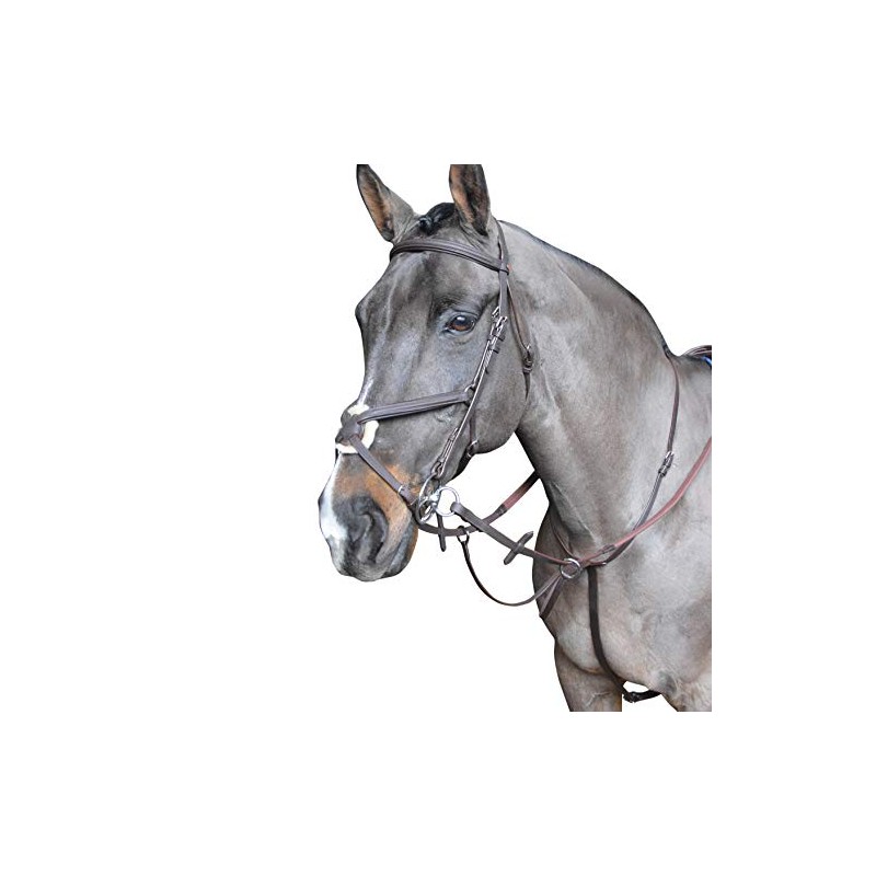 John Whitaker Ready to Ride Martingale Full Size Havana