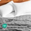 Bare Home Bare Home Weighted Blanket All-Natural 100% Cotton with