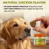 KISFLY Hip & Joint Chews for Senior Dogs – Advanced