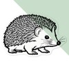'Cute Hedgehog' Clear Sticker Decal – Waterproof Film for Windows,