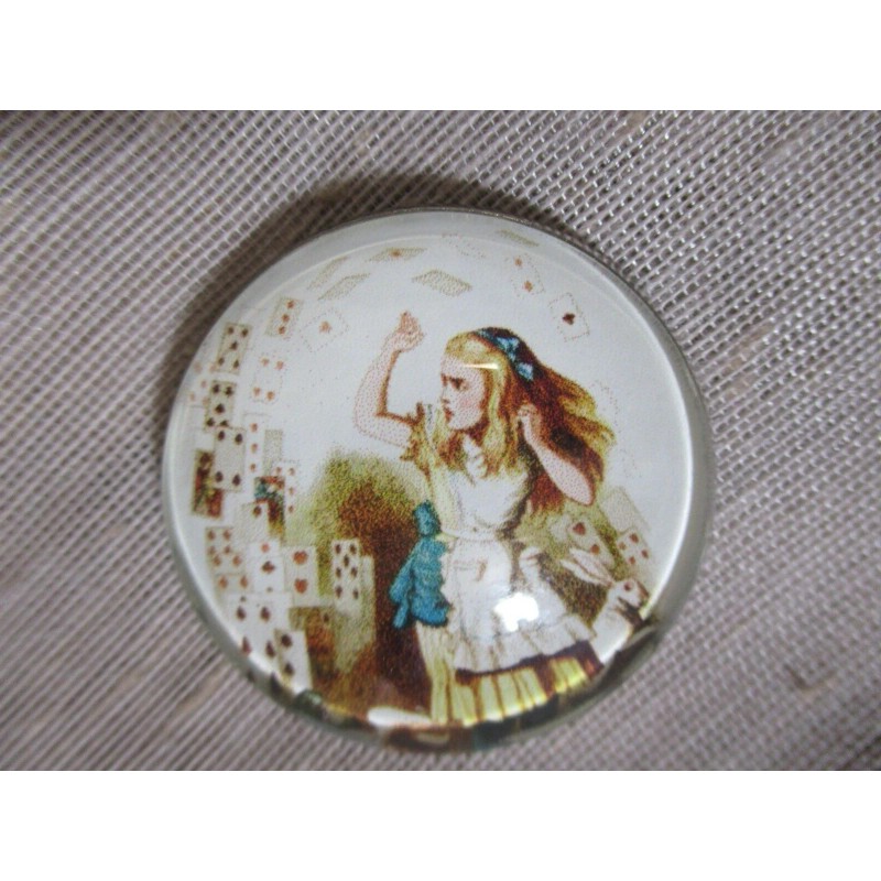 LRG GLASS DOME PICTURE BUTTON OF ALICE WITH ALL THE