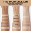 2Pcs Liquid Concealer Makeup, Eye Concealer, Full Coverage Concealer For