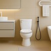 Toilet Seat, Slow Close, Premium Moulded Wood, Quick Release, Marble