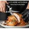 Heavy Duty Kitchen Shears-Meat Cutting Scissors with Titanium Coated