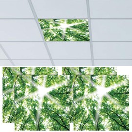 CNSJ 4 Pcs 2 x 2 Feet Fluorescent Light Covers Magnetic Forest Ceiling Light Classroom Reducing Harsh Glare Flicker Led Filters Shield for Office Home Hospital Studio School Drop Decor