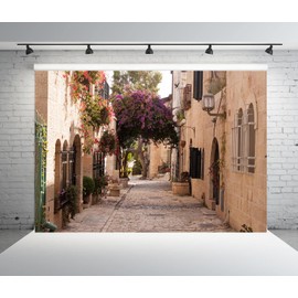BELECO 5x3ft Fabric Jerusalem Town Street Backdrop Cobbled Street Ancient Village Old Stone Wall Houses Spring Flowers Historic City Israel Background for Party Decorations Photo Booth Studio Props