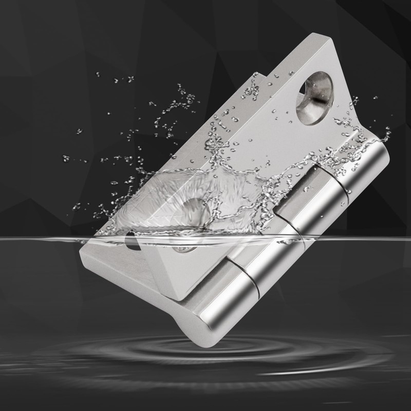 Laorde 316 Stainless Steel Hinges Marine Grade 2" x 2"