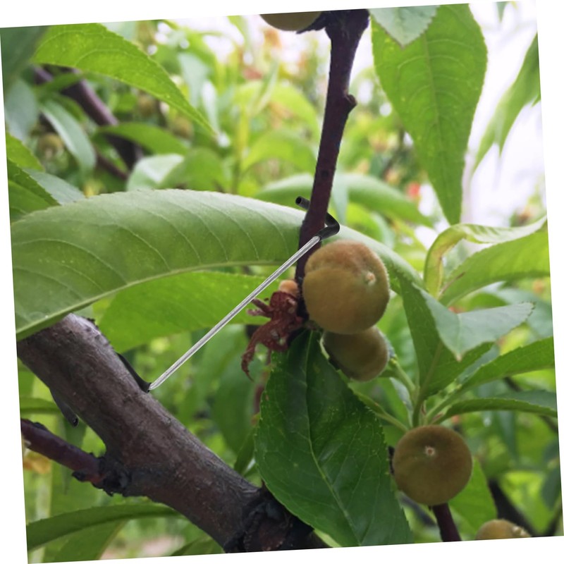 SHINEOFI 20Pcs Tree Branch Spreader Tool for Fixing and Shaping