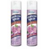 Homebright 2ea 6oz Cans Homebright Spray Country Scent Kills 99.9%
