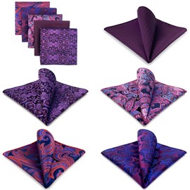 Shlax&Wing 5 Pieces Assorted Men's Handkerchiefs Set - l