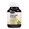 Comvita Olive Leaf Extract High Strength Capsules (60 Caps)
