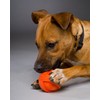 Hartz DuraPlay Bacon Scented Dog Toys